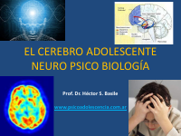 El cerebro del adolescente.pdf